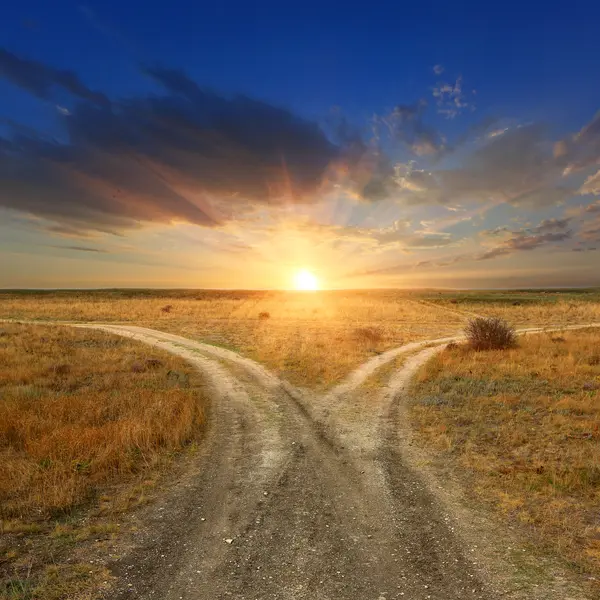 Crossroads between traditional and self publishing